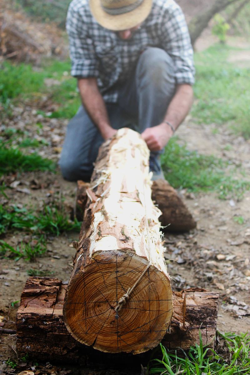 Chi è il Maisdabòsch: lavori di carpenteria in legno